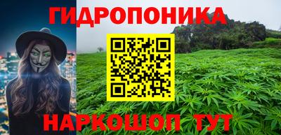 прущие грибы Кунгур