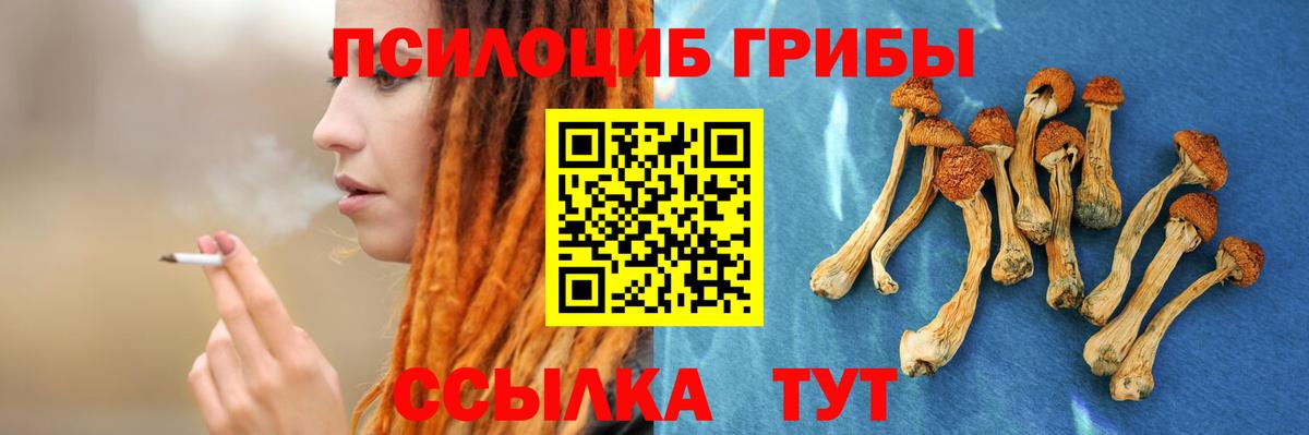 Псилоцибиновые грибы Cubensis  Галлюциногенные грибы мицелий  Чапаевск  Вход с VPN 